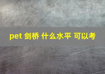 pet 剑桥 什么水平 可以考